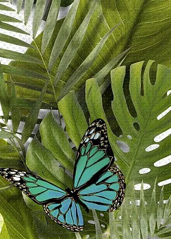 Декор Tropicana (TC2M022DT)