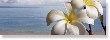 Декор Groove Decor Beach /B