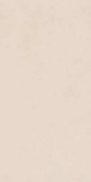Керамогранит Rinascente Ivory (610010002647) 60x120 60х120