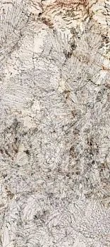 Декор NOBILE DEC.TROPICI A BLANC DU BLANC SOFT RET