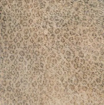 Керамогранит CAVALLINO LEOPARD