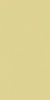 Керамогранит RAINBOW RW151 Непол.Рект 120