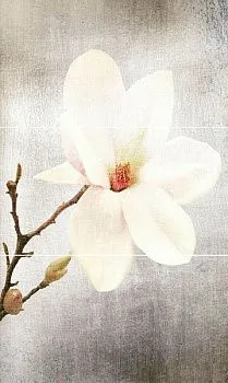 Декор ACHERON MACU Decor