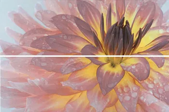 Настенное панно STG\A444\2x\12093R Искья Цветы обрезной (2 части)