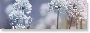 Декор Groove Decor Beach /D