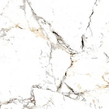 Керамогранит TUCCI GOLD/60x60/P (20578)