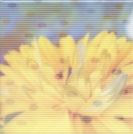 Декор настенный Весеннее шоу NT\A96\5155 Хризантемы (изображение)