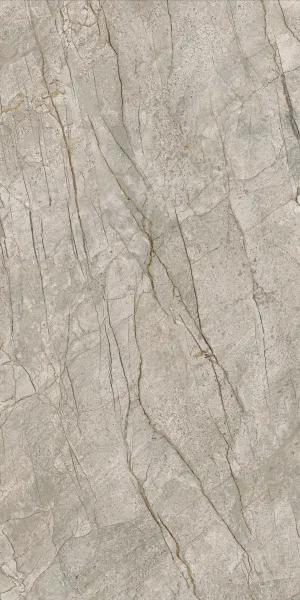 Керамогранит Empire Silver Root (610010002187) 60х120