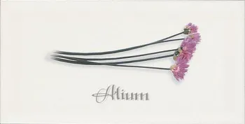 Декор Biselado Decor Blanco Alium