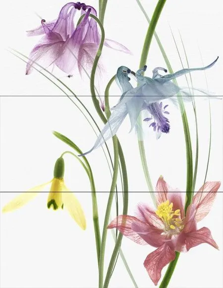 Декор WIND ZAIDA Decor (изображение)