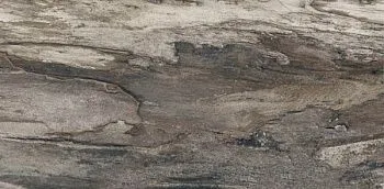Керамогранит Petrified GREY BARK RETT 30