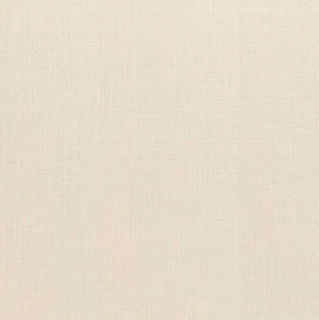 Керамогранит SOFTEN BONE Rect. (изображение)