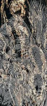 Декор NOBILE DEC.TROPICI B BLACK TAURUS LUX RET