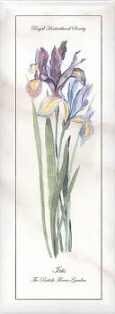 Декор NT\A84\15005 Ноттингем цветы грань