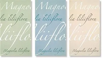 Декор DREAM PAROLE INSERTO S/3