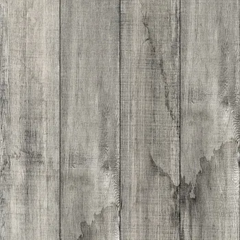 Керамогранит RUSTIC (C-RU4Q093D)