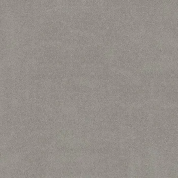 Напольная плитка Stingray Graphite FT3STG25