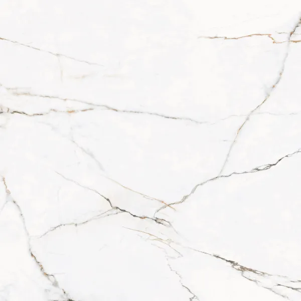 7qy7gsnkb9l3w1c0pe8xp2ndmpx6gx5g