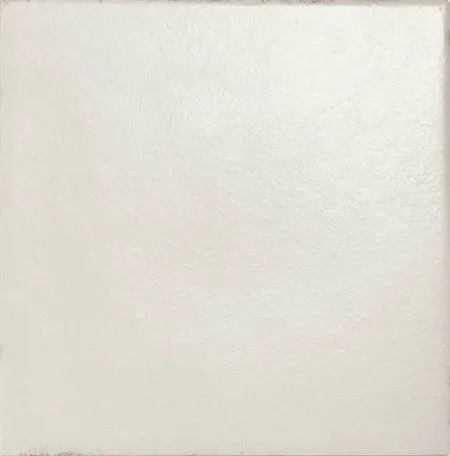 Керамогранит Bianco Antico (6RMM) (изображение)