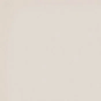 Керамогранит RAINBOW RW 01 неполированный 40