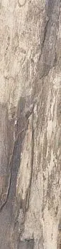 Керамогранит Petrified BEIGE BARK RETT 22,5