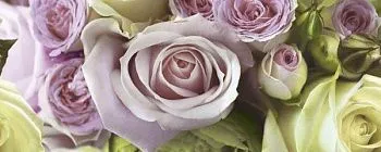 Декор Rosalie Роза 2