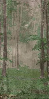 Керамогранит W&S D+ WOODS B (PF60009508)