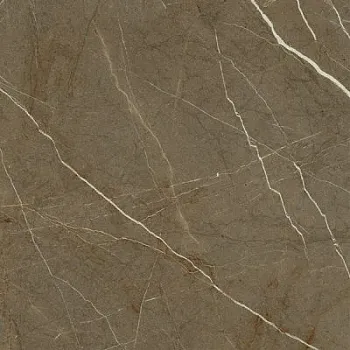 Керамогранит Marmori Пулпис Бронзовый Полированный K947001FLPR1VTE0 60x60