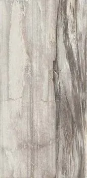 Керамогранит Petrified CORE GREY PANTHER RETT 45