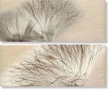 Декор Decor Set(2) Base Miel