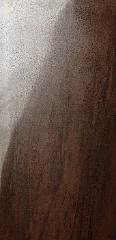 Керамогранит SG803202R Авентин коричневый лаппатированный