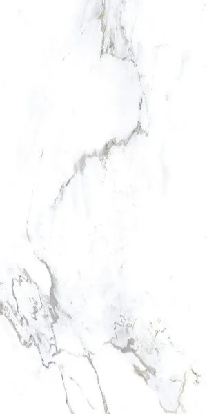 MONSTER WHITE F1_60x120 (5)