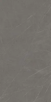 Керамогранит Xlight Liem Grey Polished (6 мм) (C279018521)