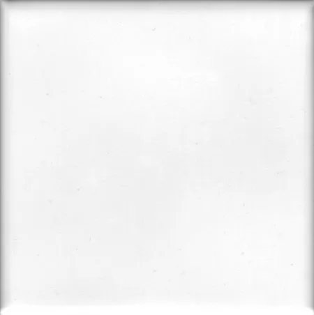 Настенная плитка H Blanco (изображение)