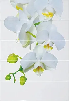 Декор Флер ВС7ФЕ021/DWU07FLR021