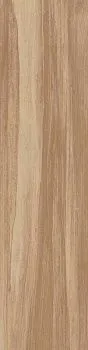 Керамогранит Aston Wood Iroko Ret