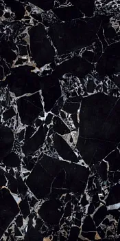 Керамогранит Ambassador Labrador Nero Glossy (CV20209)