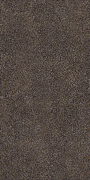 Керамогранит SEM.TESSERE FRAPUCC.LUC  C46M6YC