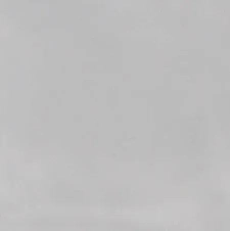 Декор 5253/9 Авеллино серый вставка (изображение)