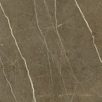 Керамогранит Marmori Пулпис Бронзовый Лаппато K945333LPR01VTE0 60x60