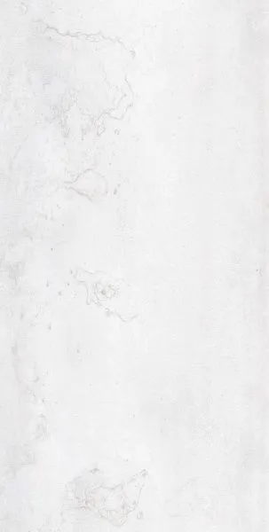 SASSARI PEARL 60x120-4