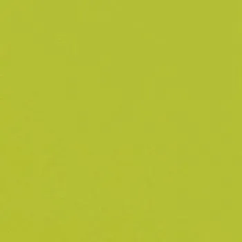 Керамогранит TECHNIC PISTACHO 20