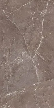 Настенная плитка TORTORA SHINE RET (629.0139.0371)