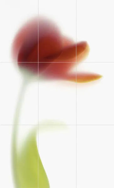 Панно TD9/004 NOVARED COMP D/9 (изображение)