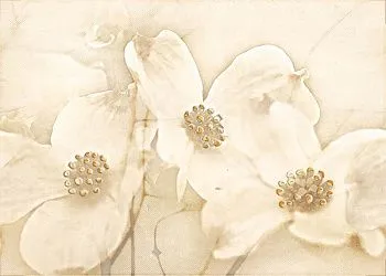 Вставка Tuti (TG2M011DT) бежевая