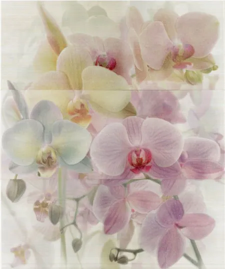 Декор Decor Paula 3pz (изображение)