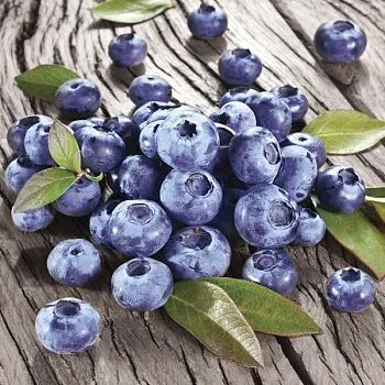 Вставка Bella Черника