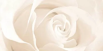 Вставка Effecta бежевая (EC2L011D)