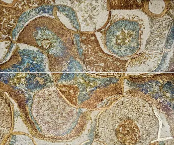 Панно Marvel beige panno 01 (комплект из 2 шт)