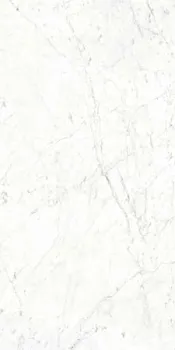 Керамогранит Splendida Carrara Bianco Glossy (CV20187)